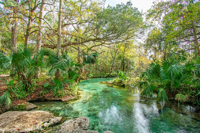 rock springs
