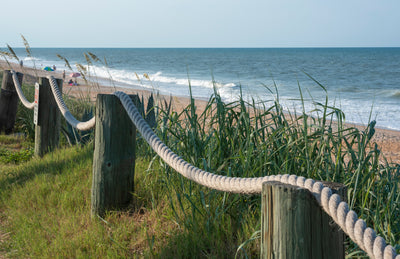 Flagler Beach dunes