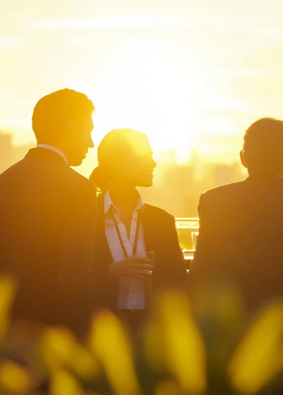 Photograph of professionals networking